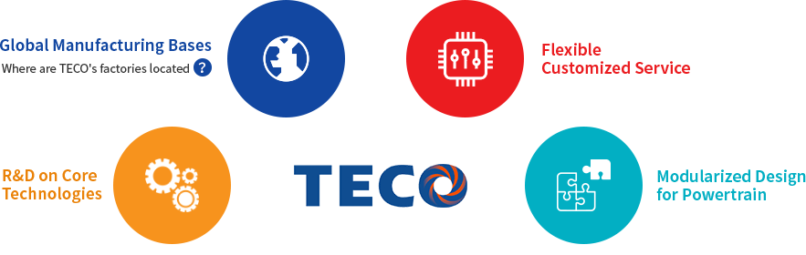 Teco Electric Car's advantages